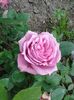 20160514_145956