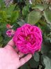 20160514_150013