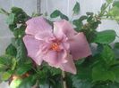 20160514_091121