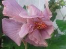 20160514_091138
