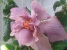 20160514_091145