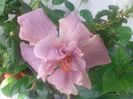 20160514_091149