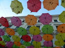 DSCN6286