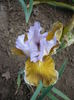 P1260715