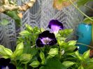 IMG_20160511_095120