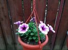 IMG_20160511_095028