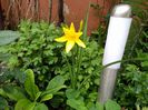 IMG_20160511_095000
