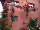 IMG_20160508_084058