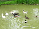 DSC01369