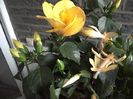 WIN_20160514_155547