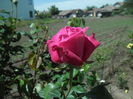 SAM_8455