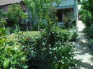 SAM_8522