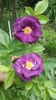 20160513_105851