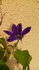 IMG_20160515_115826