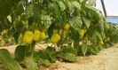 20160515_110056