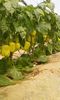 20160515_110050