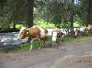 Pe langa valea mare-3