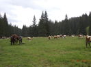 Plecam de langa vale-9
