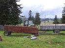 tractorul si caruta