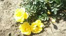 20160515_123350