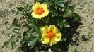 20160515_123546