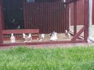 20160515_163318