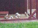 20160515_163324
