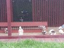 20160515_163328