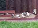 20160515_163332