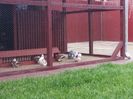 20160515_163346