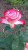 20160514_160523