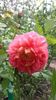 20160514_160754