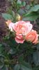 20160514_160906