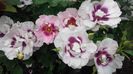 20160514_161005