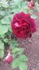 20160513_130410
