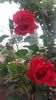 20160513_130507