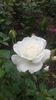 20160513_130528