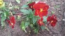 20160513_130637