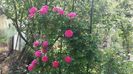 20160513_173101