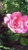 20160513_173517
