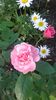 20160513_180211