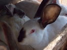 DSCN2008