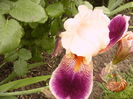 P1260752
