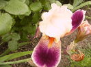 P1260753