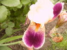 P1260754