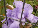 P1260763