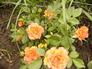 P1260771