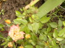 P1260780