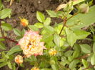 P1260782