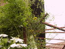 P1260801